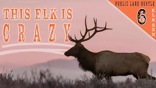 UNBELIEVABLE What Else Can Happen On An Elk Hunt | PLH EPISODE 6