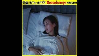 இதுனால தான் Goosebumps வருதா 😱|  Interesting facts in tamil #tamilfacts #shorts