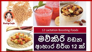 මව්කිරි වඩන ආහාර වර්ග 12 ක් | Lactation Boosting Foods | මව්කිරි වැඩි කරන කෑම | 03