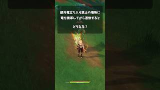 【原神】部外竜立ち入り禁止の場所に敵の竜を誘導してから憑依するとどうなる？【検証】#原神 #genshinimpact #げんしん