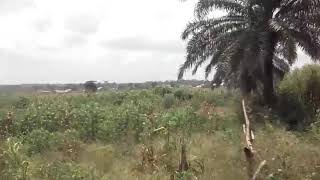 ABOUT 4.6 and 1.6 Hectares of Land For Sale.