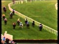 Destriero - 1991 Supreme Novices Hurdle Cheltenham