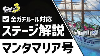 マンタマリア号の立ち回り解説！全ルール（エリア／ヤグラ／ホコ／アサリ）対応！【スプラトゥーン3】