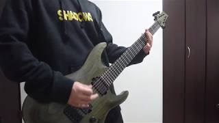 SHADOWS/BEK/ guitar cover / 弾いてみた