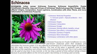 Homeo Immune Booster Echinacea Homeo Immune Booster Echinacea