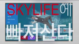 스카이라이프 Skylife UHD 김건모