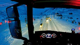 POV Driving Scania S560 - Norway RV.52