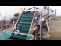 Sorting line for round fruit - Eshet Eilon