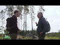 exploring sweden s forests how is the industry dealing with the world s demands