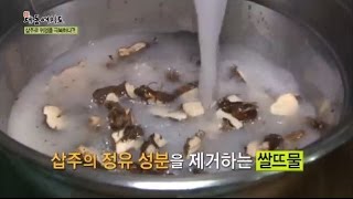 위염에 좋은 '삽주' 복용시 주의사항! 이것만은 알고 드세요!_채널A_신대동여지도 46회