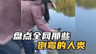 盘点那些倒霉的人类，快乐是建立在别人的痛苦之上，看一次笑一次