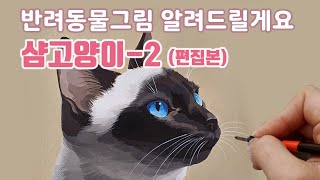 반려동물초상화/샴고양이 그리는법/how to draw /cat portrait