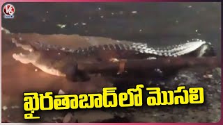 Crocodile Caught At Chinthal Basthi | Khairatabad | Hyderabad | V6 News