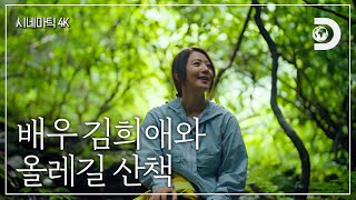 [4K 원본] 한 사람의 인생과 같은 제주, 배우 김희애와 한적한 숲길🌲 같이 걸으실래요? [잠적:김희애]