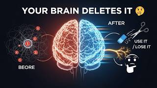 Your Brain's "Delete Button": Synaptic Pruning Explained (Use It or Lose It)