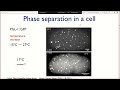 Frank Jülicher – Lecture “Physics of Active Droplets”