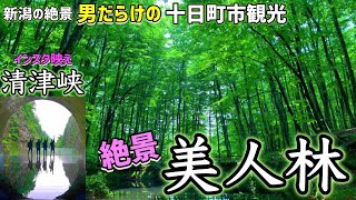 【十日町市観光】美人林 清津峡 龍ケ窪 へぎ蕎麦 男だらけの絶景インスタ映えスポット巡り　新潟県十日町市　これが新潟だ　This is NIIGATA