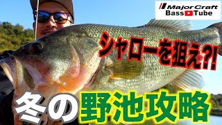 さんず×川上の冬の野池攻略！シャローを狙うべし！