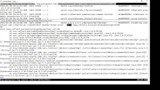java.lang.reflect.InvocationTargetException