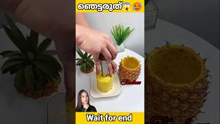 Pineapple തൊലി കളയുന്ന മെഷീൻ🍍😳 ഇത് കൊള്ളാലോ 😱😱 #shorts #mrzthoppi #m4tech