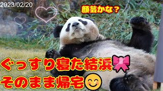 【結浜】たくさん寝て帰宅😊【パンダ】 #2023 panda