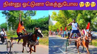 1 சின்ன குதிரை பாப்பாக்குடி தென்காசி  மாவட்டம்