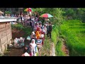 Pernikahan Viral Kampung Indah. Jajap Pengantin Serasa Wisata😅, Makannya Jongkok Di Pinggir Sawah