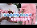 网络连续剧：这下真的尴尬了，咋办 vlog