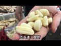 蒜頭飆破300元天價還看漲！　果菜市場經理：34年生平首見 蘋果新聞網