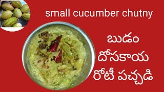 బుడం దోసకాయ రోటీ పచ్చడి చాలా teasty And full healty chutny