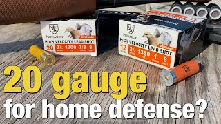 Use a 20 gauge for home defense over a 12 gauge?