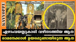 The story of an elephant led by a seven-year-old girl Patat Srikrishnan | pattath sreekrishnan | story | kayyoppu