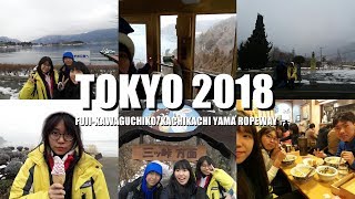 東京 2018 | Tokyo Vlog | 富士山河口湖、東京車站一番街