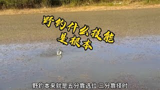 野钓资源好坏非常重要，选择钓点、钓位、时间、天气就是寻找资源~分享钓鱼知识