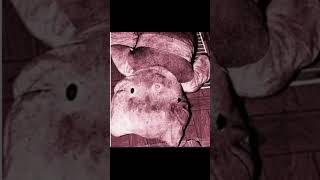 Hello kitty murder case.