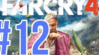 #１２【ps4版ファークライ４】　オープンワールドのFPS！？