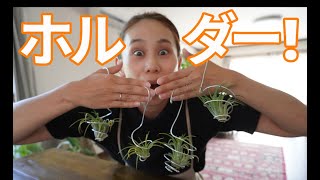 【簡単！早い！安上がり！】エアプランツハンギングホルダーをDIY