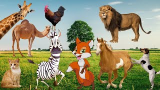Best Animal Sound!Wild Animal Sounds:Squirrel Bear Camel Horse Cat Goat Mouse Sheep Deer Rooster