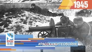 Расскажите нам о войне Тбилисский район