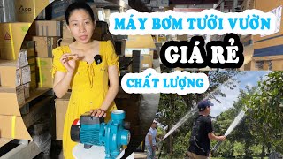 0937936066 - Máy Bơm Tưới Vườn, Tưới Béc Giá Rẻ Chất Lượng LEPONO ACM75B2 - THUẬN HIỆP THÀNH HCM