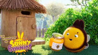 Las Aventuras de Sunny Bunnies | MIEL DULCE Big 'Bee' Boo | Serie 4 | Dibujos para niños