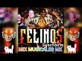 los felinos mix