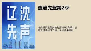 河南村民遭强拆被打断7根肋骨续：被认定构成轻伤二级，系故意伤害案