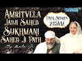 AMRITVELA LIVE KIRTAN DARBAR - 16th NOVEMBER 2024.