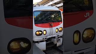 青梅駅でMHを鳴らすE491系