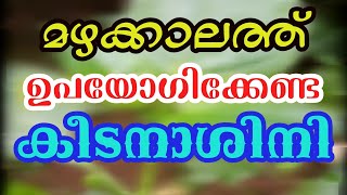 മഴക്കാല കൃഷി |Mazhakkala jaiva keedanashini | Monsoon farming tips Malayalam | Mazhakkala Krishikal