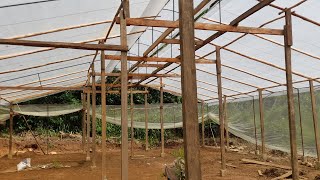 Built low cost polytunnel by using wood /Agri Survival