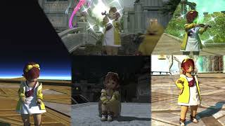 FF14で楽器演奏🐥