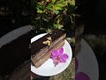 classic opera cake.~ 法式歌剧院蛋糕~