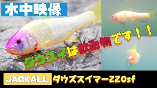 【水中映像】JACKALL ダウズスイマー220SFの泳ぎはこうです！【シーバス】